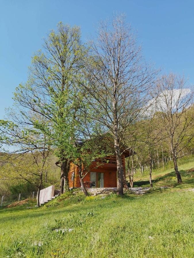 Kuca U Sumi - Forest House Near National Park Una - Air Spa Lohovo Bihać Exterior foto